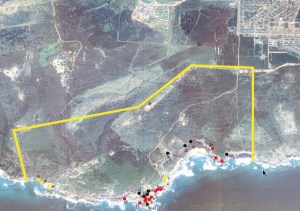 Pinnacle cave complex