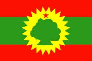 Oromo flag