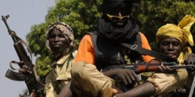 Central African Rebels