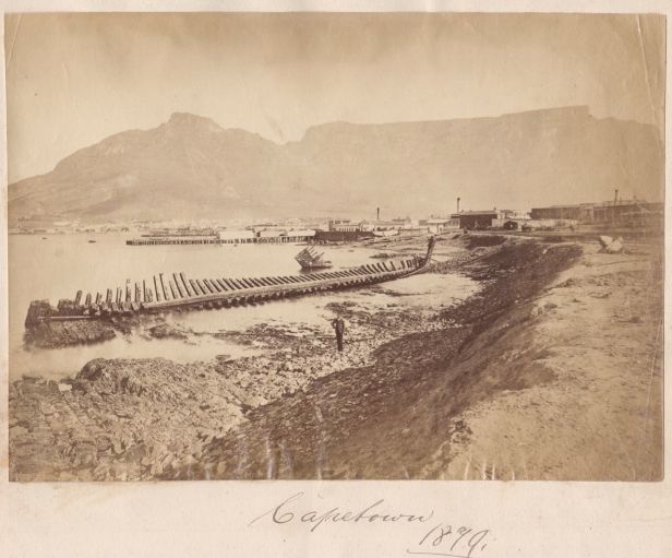 Cape Town docks 1879