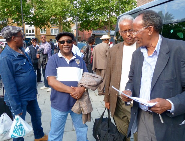 Eritreans supporting the UN Commission of Inquiry into Human Rights