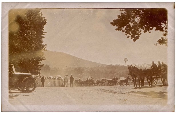 Cape Town with carts