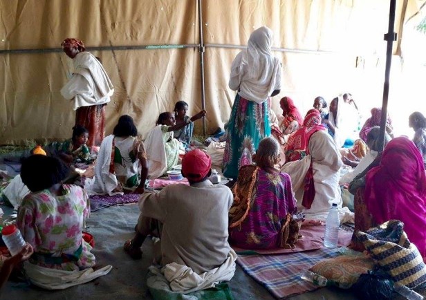 Eritrea drought, malnutrition and cholera