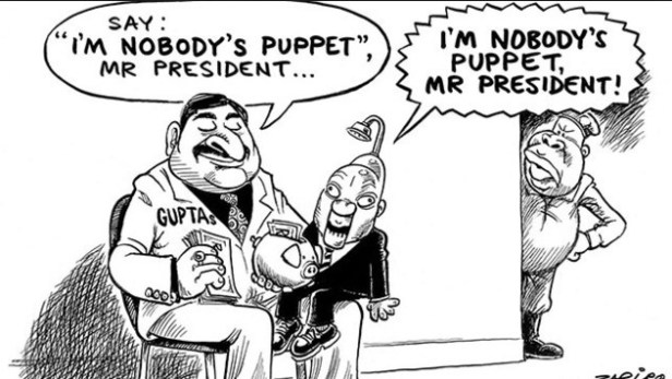 zuma-puppet