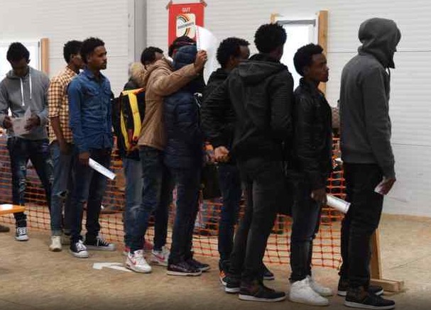 eritreans-netherlands