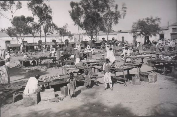 Asmara market 1935