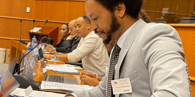 Beyene Gerezgiher, Eritrean Bright Future