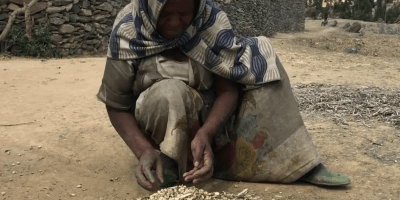 Famine in Tigray
