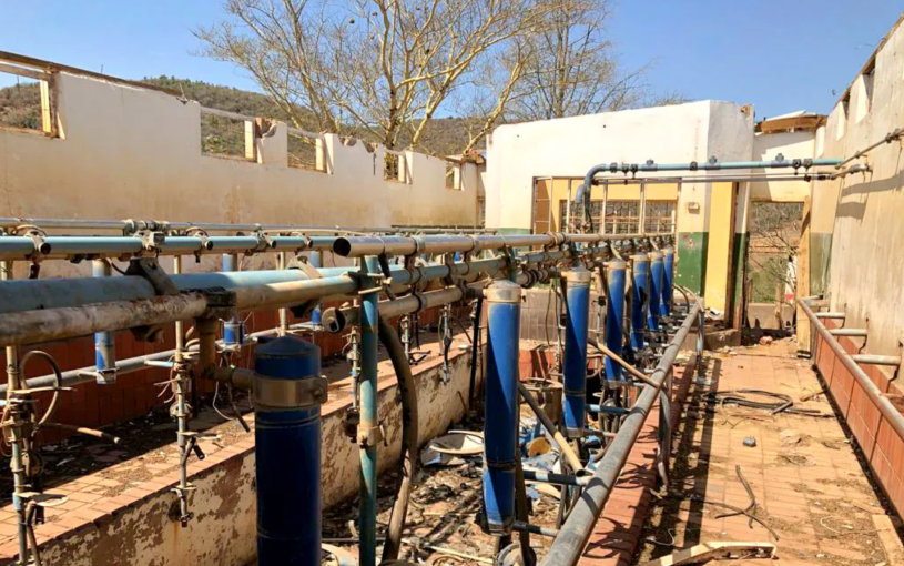 South Africa's abandoned farms