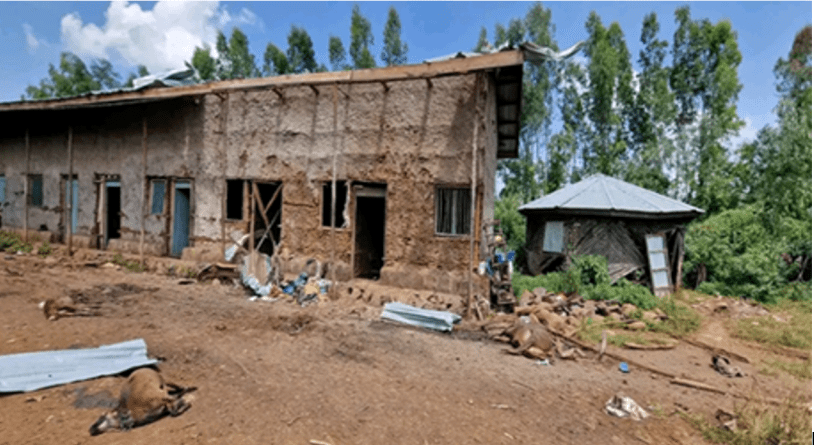 Drone attacks targeting Afesa High School in the Amhara region of Ethiopia