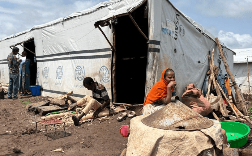 Displaced Tigrayans struggle to survive