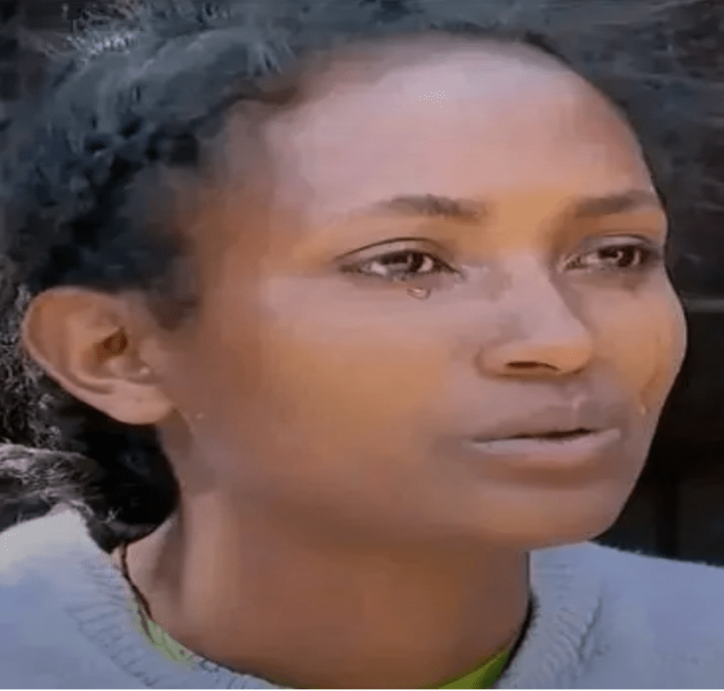 Birtukan Temesgen, victim of the state-sponsored abduction of ethnic Amhara