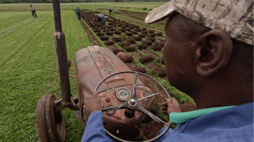 South African farm worker on tractor