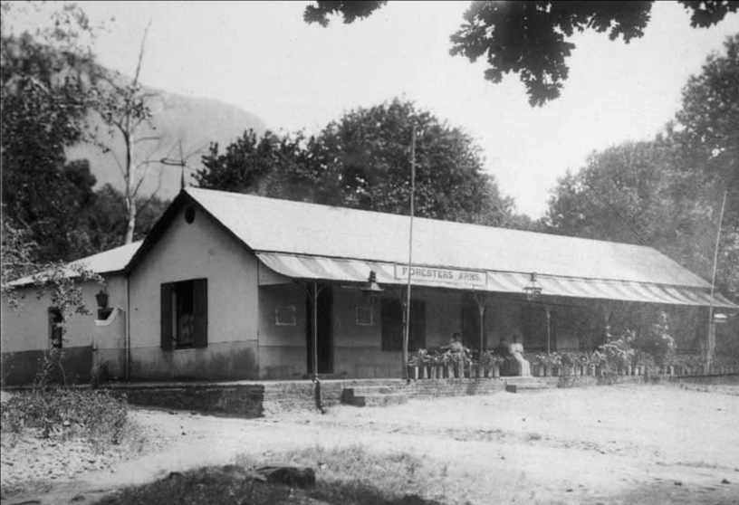 The Forester's Arms, Newlands