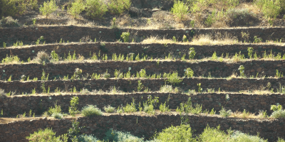 Terracing Tigray Dogu’a Tembien