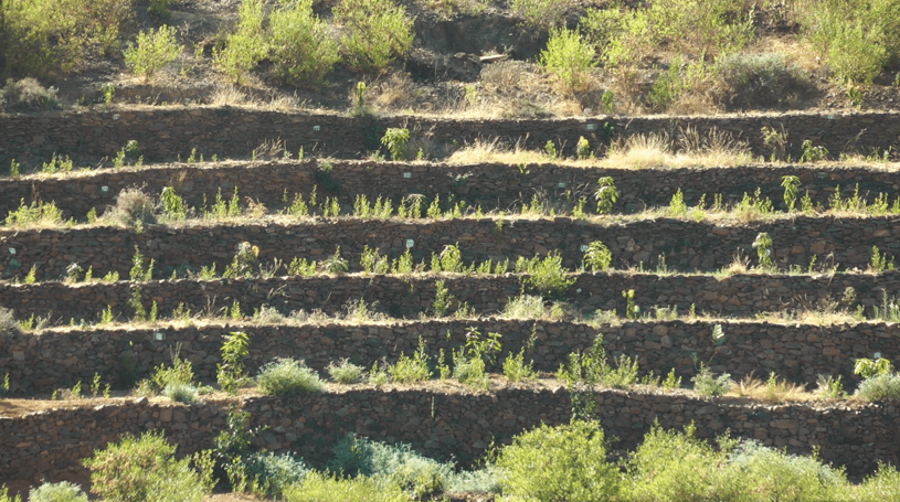 Terracing Tigray Dogu’a Tembien