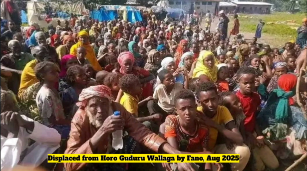 Oromo displaced by Fano