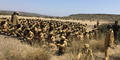 Red Sea Afar Democratic Organisation