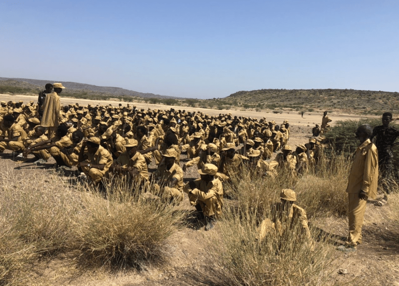 Red Sea Afar Democratic Organisation