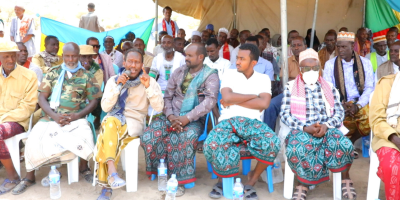 Red Sea Afar Democratic Organisation